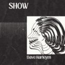 Dave Harleym - Reflecting