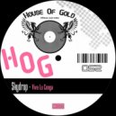 Skydrop & Lokey - Viva La Conga (Lokey Remix)