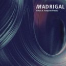 Joaquim Plossu & Ontic - Madrigal (Instrumental)