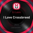 DJ Lastic - I Love Crossbreed