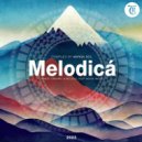 NatureVibes, LAFREQ, M-Sol DEEP - Lost in Memories