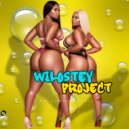 Wilostey Project - No Comments
