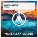 Force & Amour - Triumph (Extended Mix)