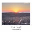 Masaru Hinaiji - Rondo of the Wind (Original Mix)