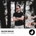 Falcos Deejay - Missing You Now