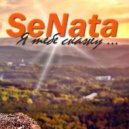 SeNata - Я тебе скажу (Original Mix)