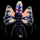 Firefly - Soil Angel ()