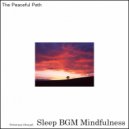 Sleep BGM Mindfulness - Tranquil Meditation Music (Original Mix)