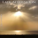 Johan van der Voet - Late Afternoon ()