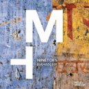 Ninetoes - Raanee (Original Mix)
