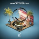 Nicolas Haelg - Sensory Overload (Original Mix)