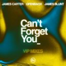James Blunt & Ofenbach - Can't Forget You