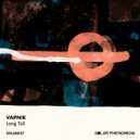 Vapnik - Multiplex