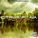 Citrus Flava - Monarchical