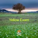 Domenica Broida - Yellow Exam (Original Mix)