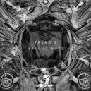 Trend 5 - Night Lights (Original Mix)