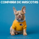 Nación Lofi Hip Hop & Mascotas Total Relax & Musicoterapia con mascotas - Delicioso Futuro