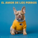 Alguna música & Relájate la música de mi perro & Relax mi perro música - Luces Del Puerto