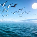 Daria Kupr - Across the sea ()