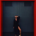Dims. - Lights ()