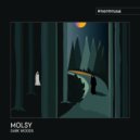 Molsy - High Above