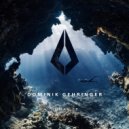 Dominik Gehringer - Enhanced