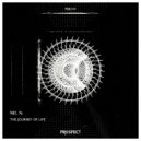 Nel N. - Space Dimensions