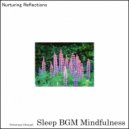 Sleep BGM Mindfulness - Moonlit Comfort