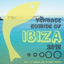Mehmet Gulec - The Same (Original Mix)