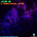 Joz B - A Second Life
