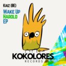 Kaiz (BE) - Leave Me