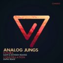 Analog Jungs - Constellation