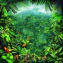 Rainforest Rhythms Collective - Tranquil Canopy