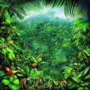 Rainforest Rhythms Collective - Rainforest Serenity
