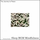 Sleep BGM Mindfulness - Melodic Escape