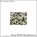 Sleep BGM Mindfulness - Ambient Touch (Original Mix)