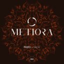 PINTO. - Kalya