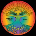 MISTERCIAPICA DJ - Funk Anatomy (Genetic Funk Album Mix)