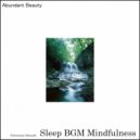 Sleep BGM Mindfulness - Aurora's Dance