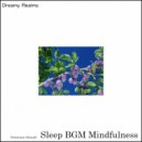 Sleep BGM Mindfulness - Zen Mindset