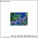Sleep BGM Mindfulness - Spiritual Reflections (Original Mix)