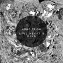 Abbe Prism - All Connected