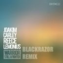 Joakim Carley feat. Reece Lemonius - Warrior
