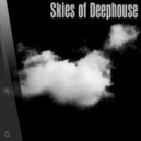 Simplex Sensus - Night Delivery (Original Mix)