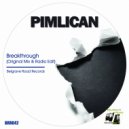 Pimlican - Breakthrough (Radio Edit)