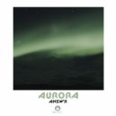 ANSWR - Aurora