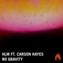 HLM, Carson Hayes - No Gravity