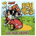 AYU Acid - Tokyo Timelapse