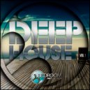 Sebastian Tourt - Wind Down (Original Mix)