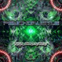 Psychorustle - A Little Bit